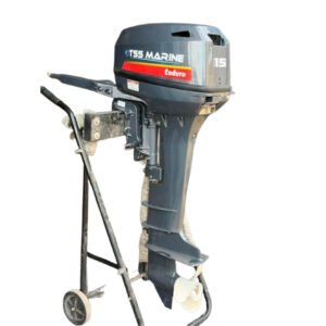 Moteur E15HMHDL 15 cv